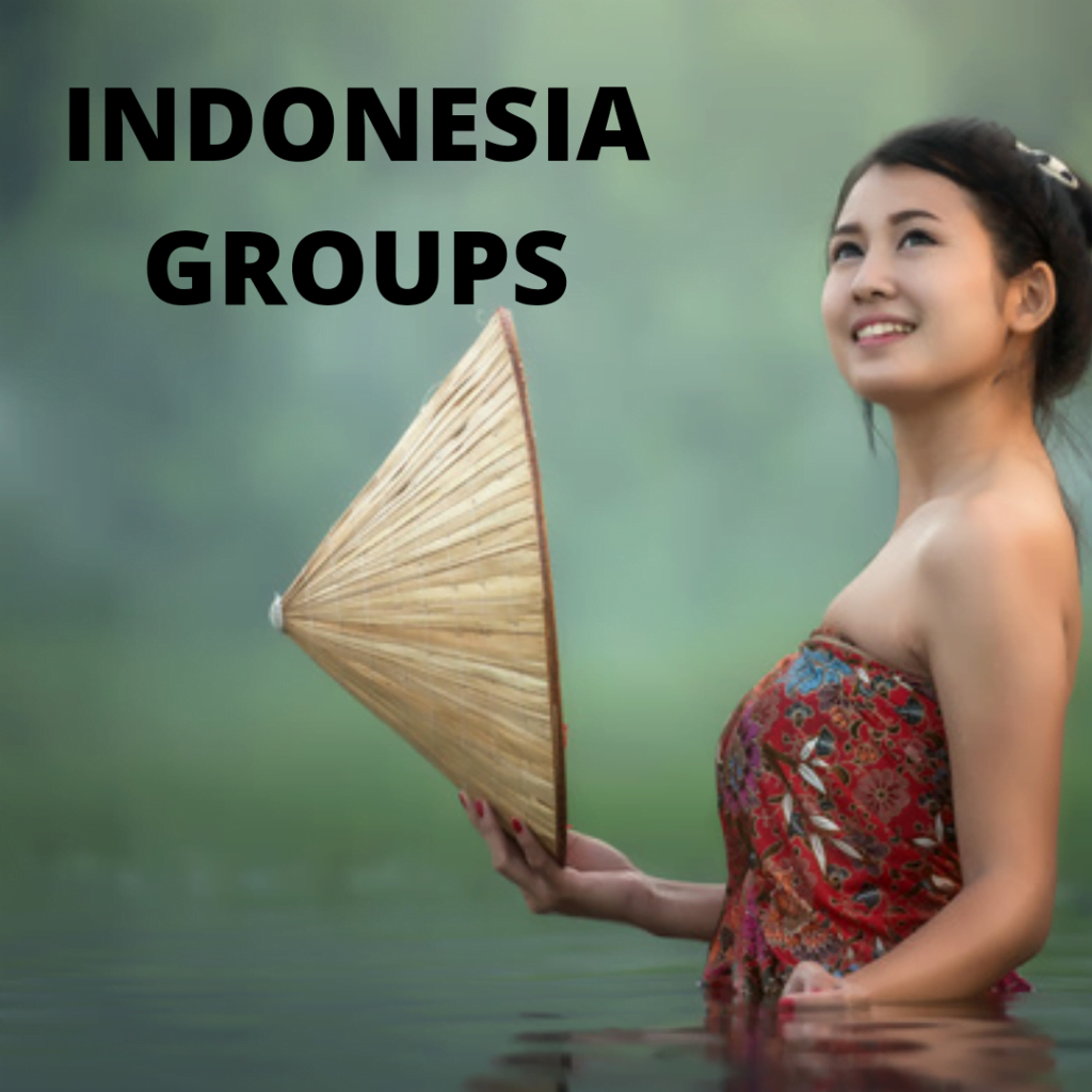 Indonesia groups on mewe